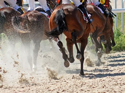 Freehold: Live racing returns Friday .